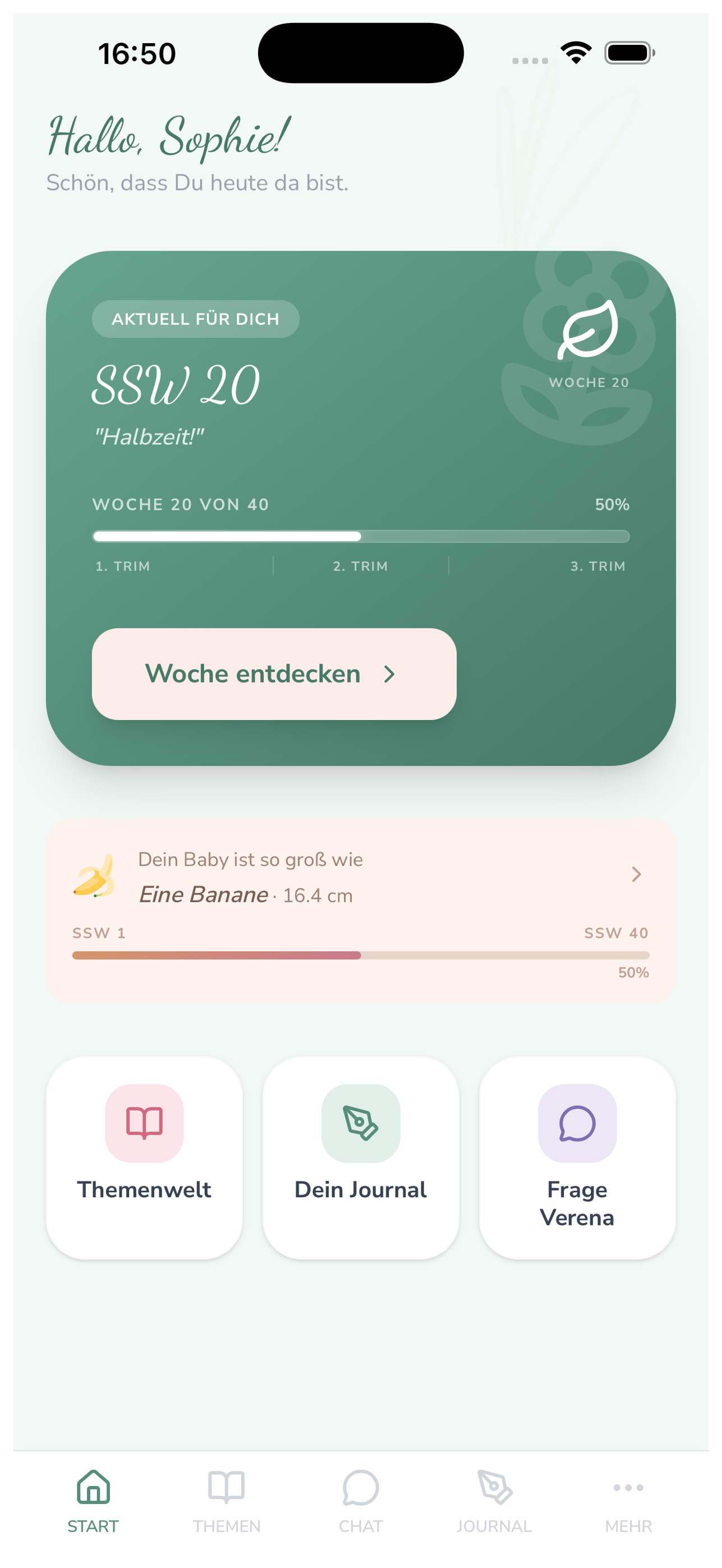 Embrace Pregnancy App