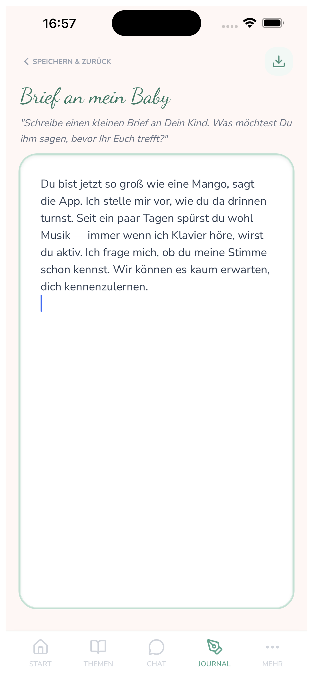 Persönliches Tagebuch